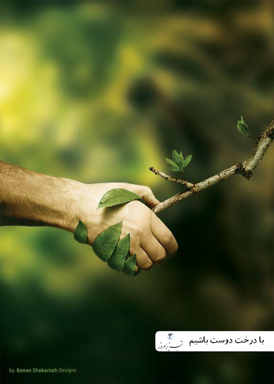 دوستی با درخت
